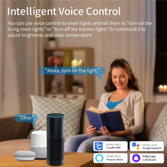 Smart WiFi LED Ceiling Light