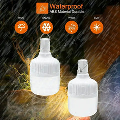 Outdoor Camping LED Light