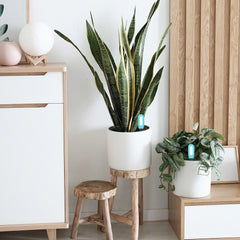 Smart Bluetooth Soil Tester