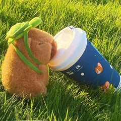 Cute Turtle Doll Kids Toys