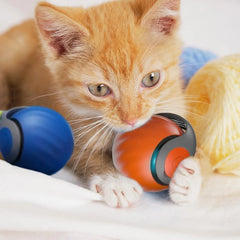 Smart Interactive Speedy Tail Toy