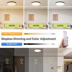 Modern Ceiling Lamps