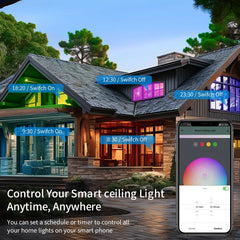 Smart WiFi LED Ceiling Light
