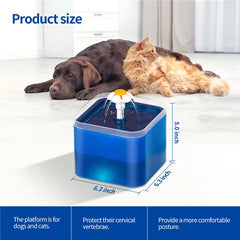 Cats and Dogs Water Fountain