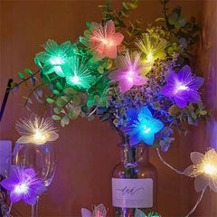 2/3M LED Festoon Fairy Light