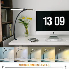 LED Desk Lamp