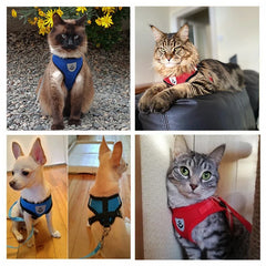 Cat Adjustable Harness Vest