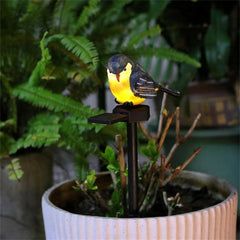 Solar Outdoor Resin Bird Light