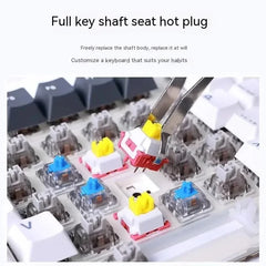 Wireless Mechanical Keyboard