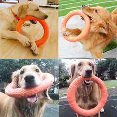 Dog Ring Toys