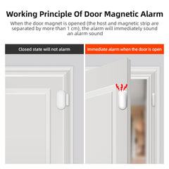 Wireless Magnetic Door & Window Sensor