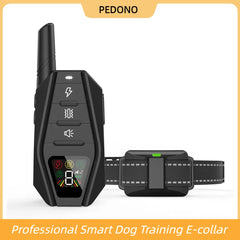 Electric Dog Training Collar With Remote
