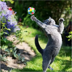 3/60pcs Cat Toys Balls with Bells
