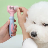 Dog Stainless Steel Comb
