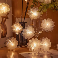 2/3M LED Festoon Fairy Light