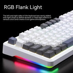 Wireless Mechanical Keyboard