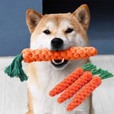 Carrot Dog Bite Toys