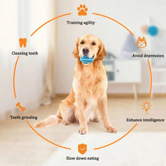 Pet Dog Chew Toys