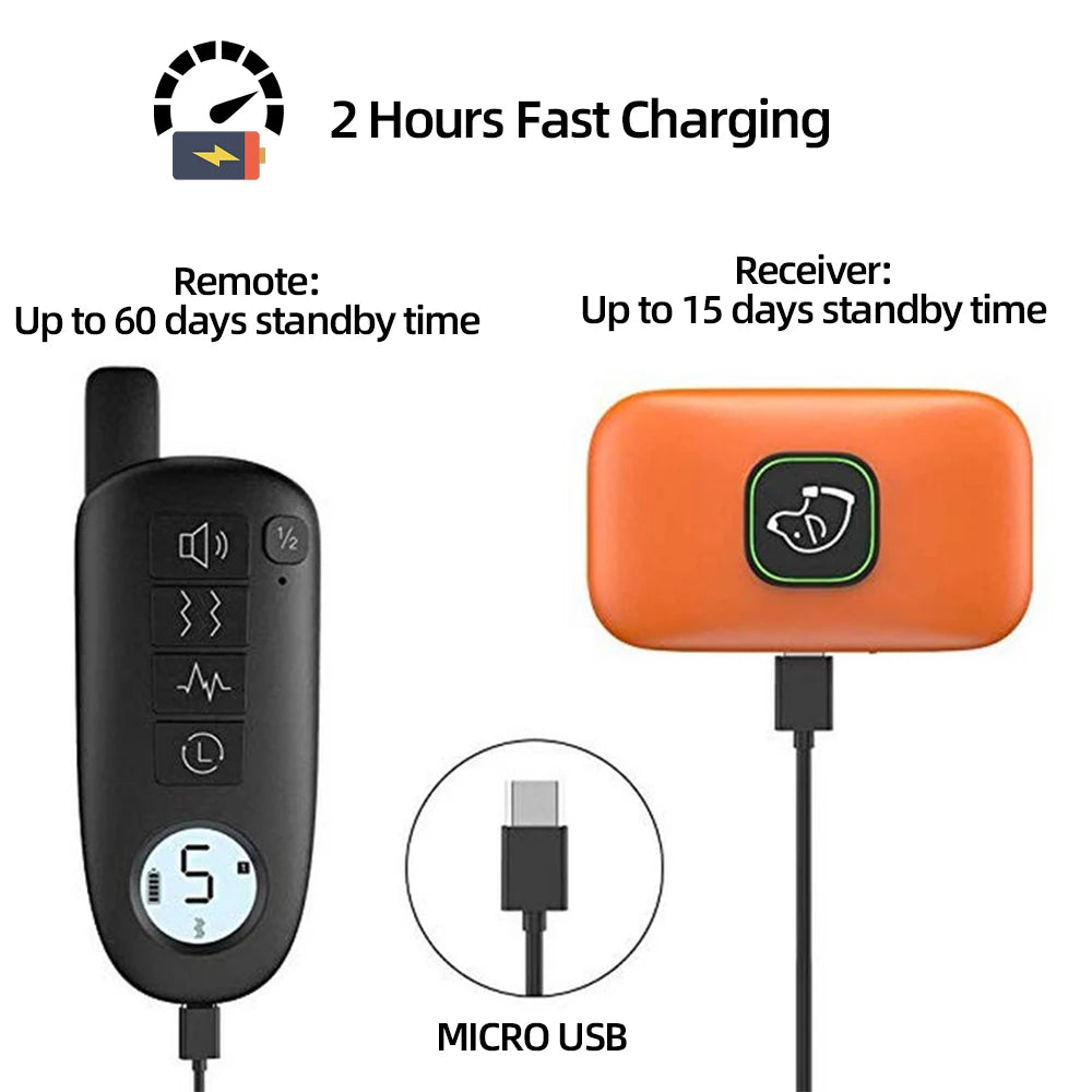 Electric Dog Training Collar