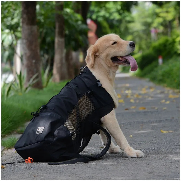 Pet Dog Hiking Carrier