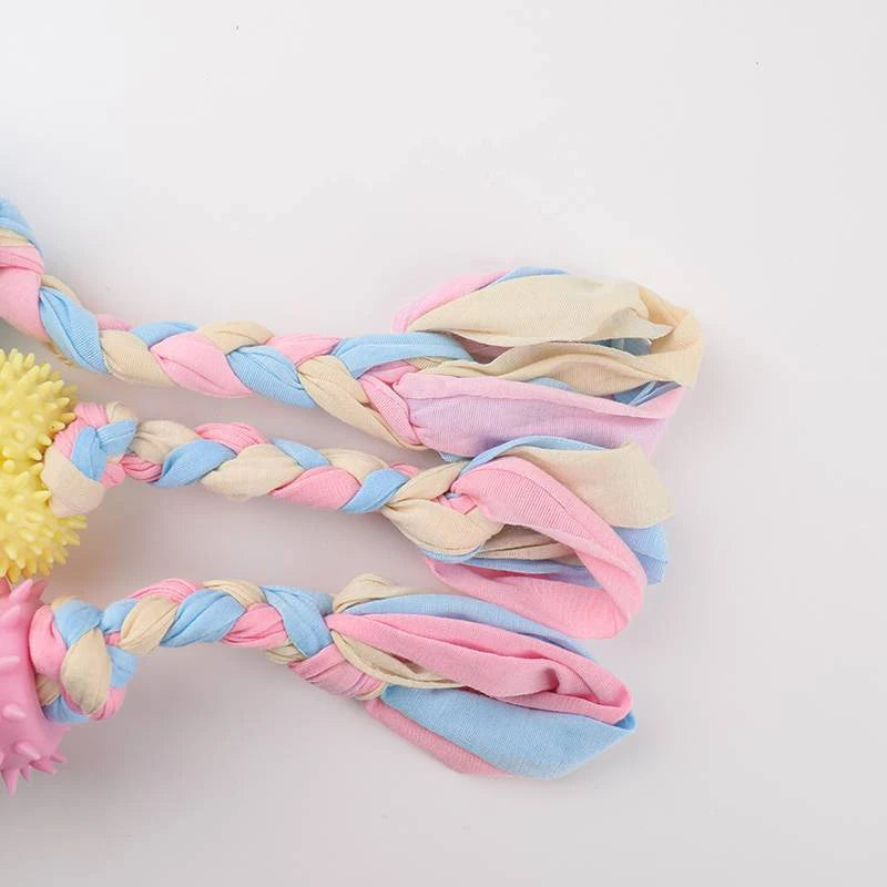 Teeth Cleaning Dog Training Supplies