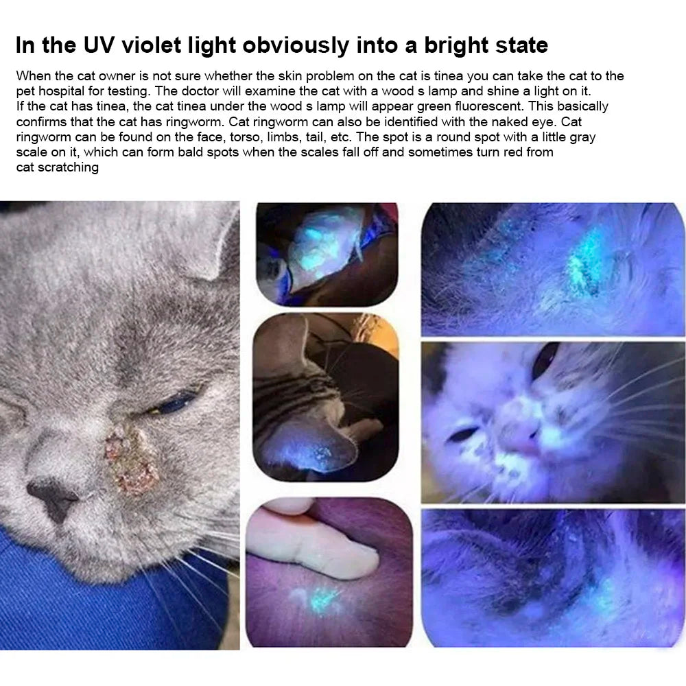 Pet Fungus Detection   Light