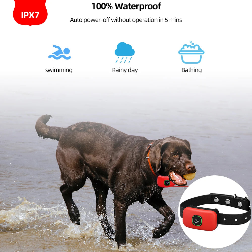Electric Dog Training Collar