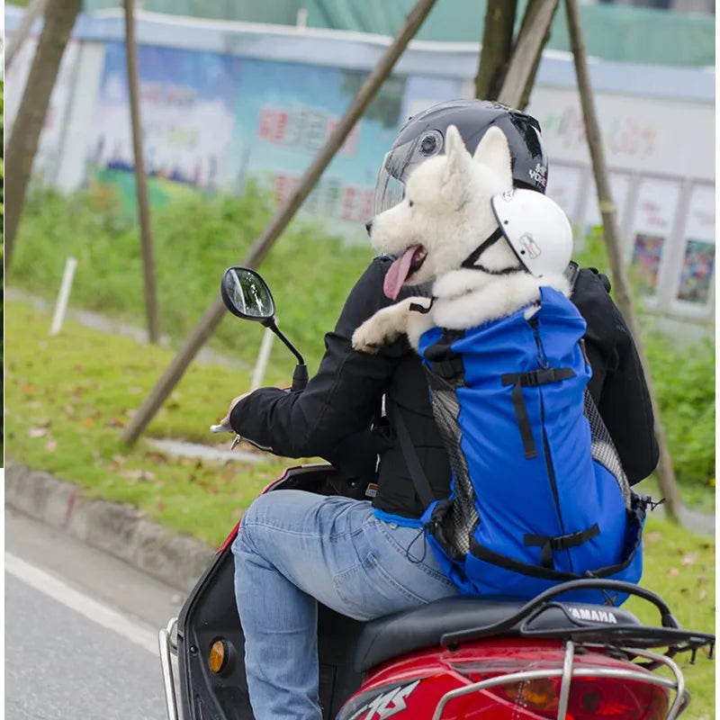 Pet Dog Hiking Carrier