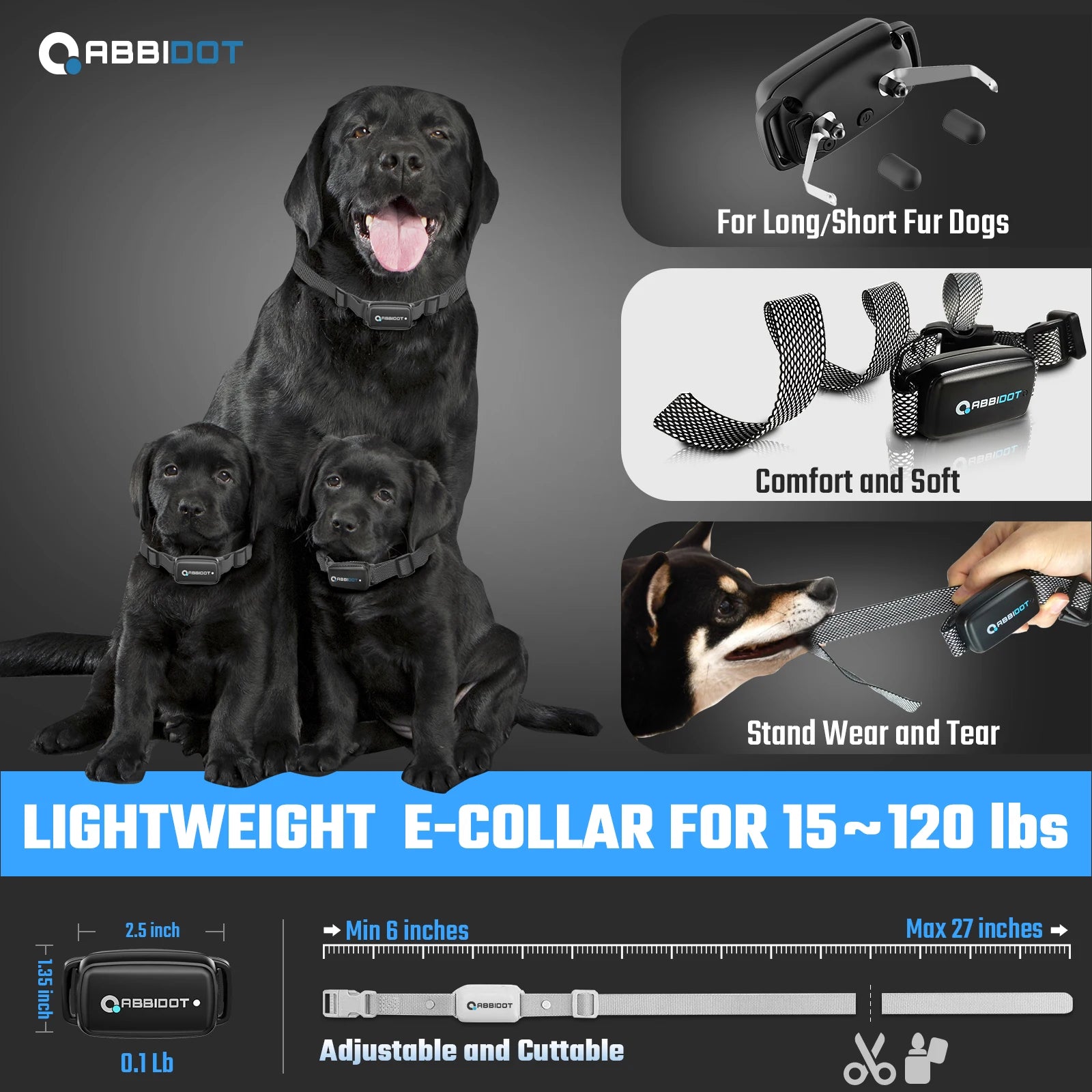 Dog Training Collar