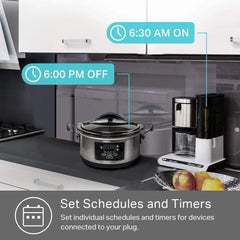 Smart Life Switch Plug