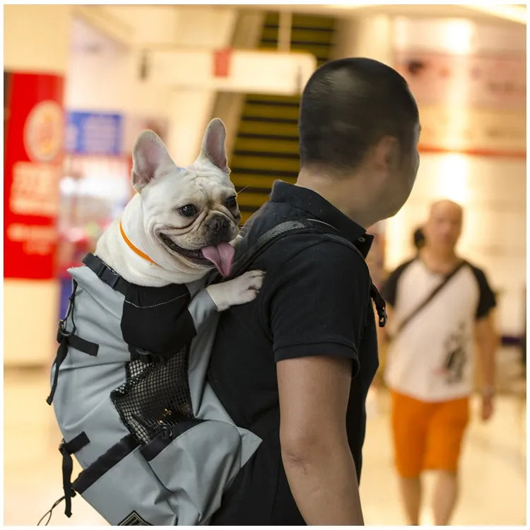 Pet Dog Hiking Carrier