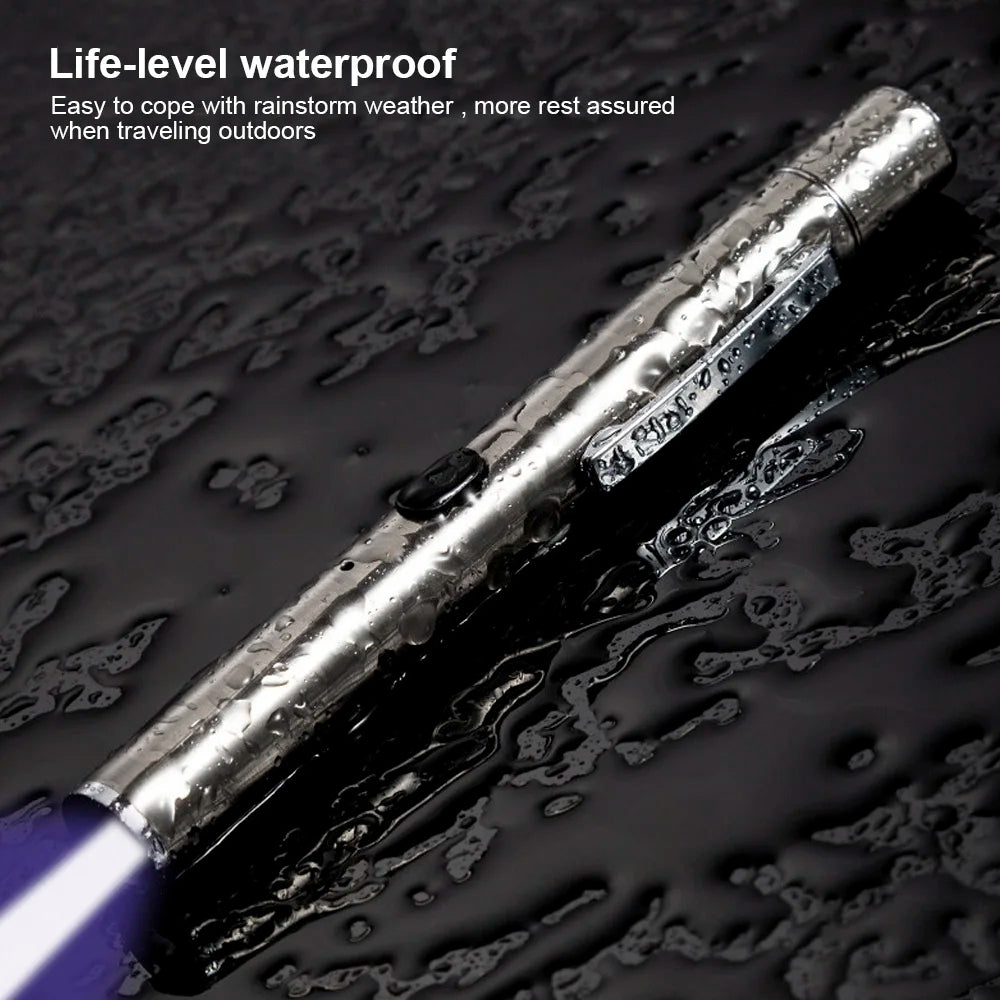 Pet Fungus Detection   Light