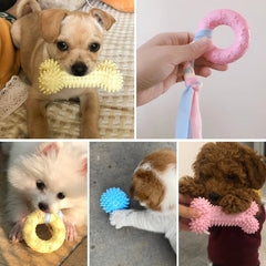 Teeth Cleaning Dog Training Supplies