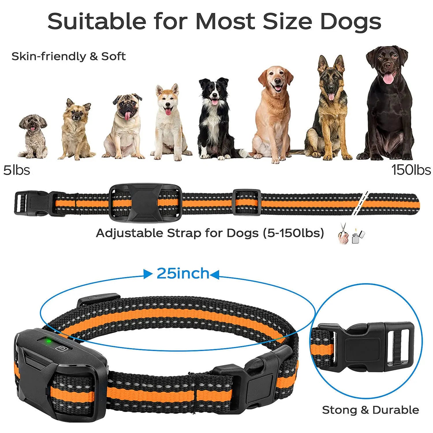 Pet Training Collar with Remote