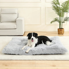 Soft Dog Beds