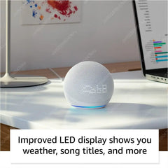 Wifi   BT Alexa Speaker