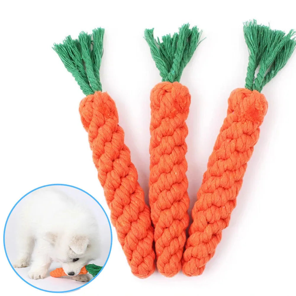 Carrot Dog Bite Toys