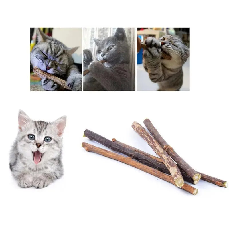 Silvervine Sticks for Cats