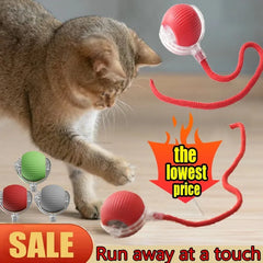 Cat Interactive Ball