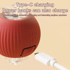 Interactive Cat Toys Ball