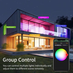 Smart WiFi LED Ceiling Light