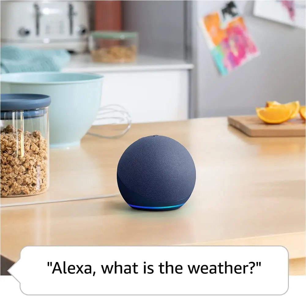 Portable  Smart Speaker