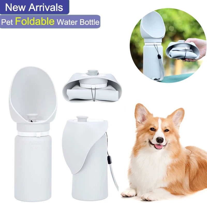 Dogs Drinking Water Dispenser