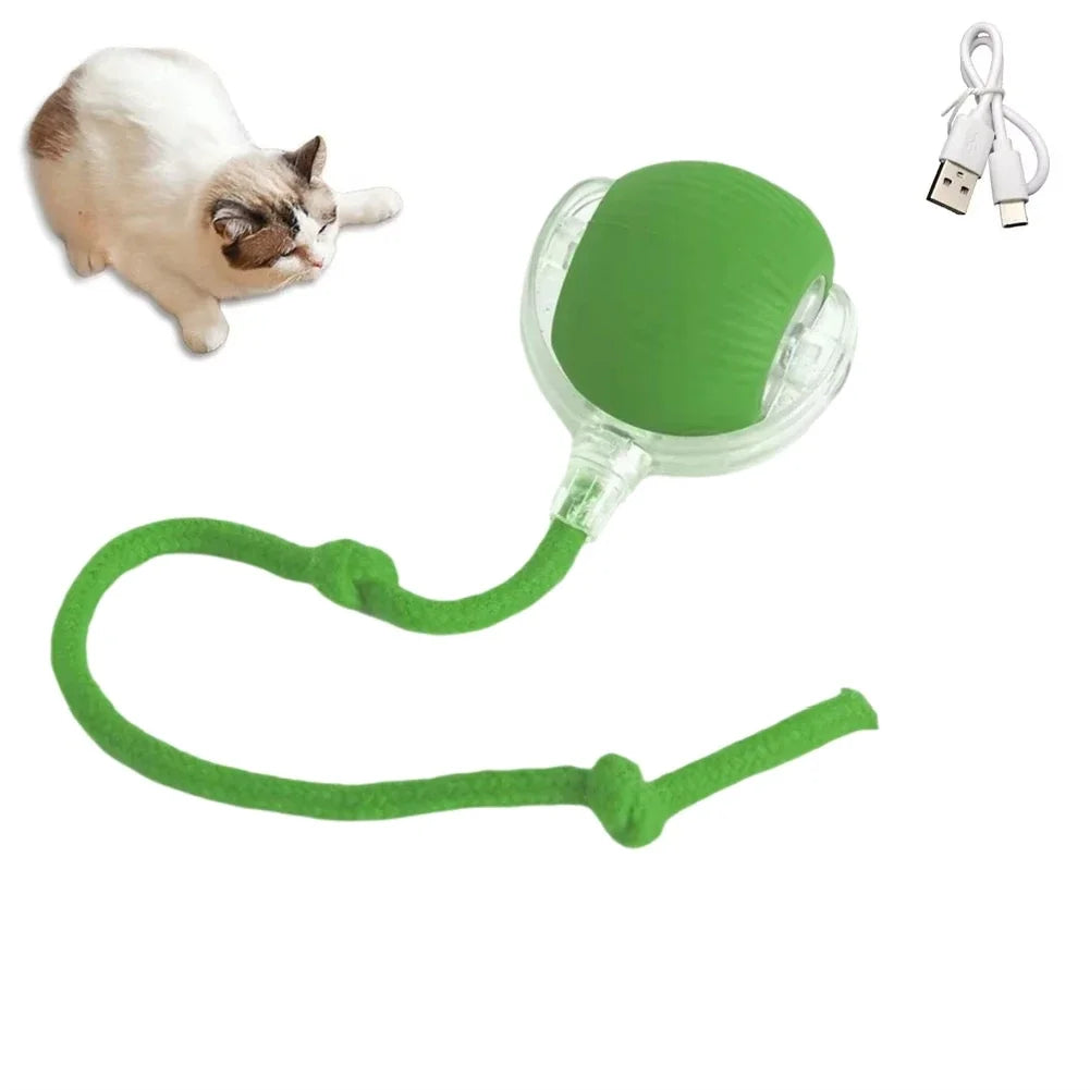 Interactive Cat Toys Ball