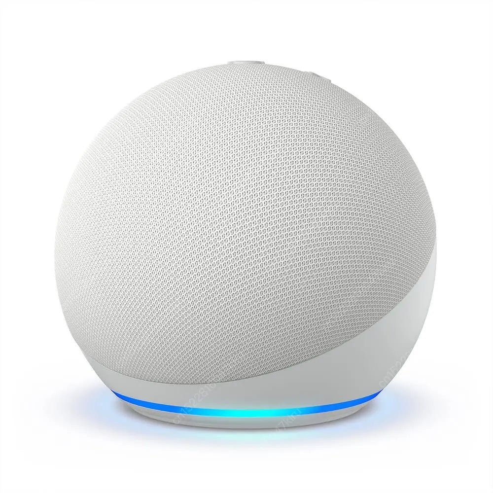 Wifi   BT Alexa Speaker