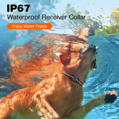 Pet Training Collar with Remote