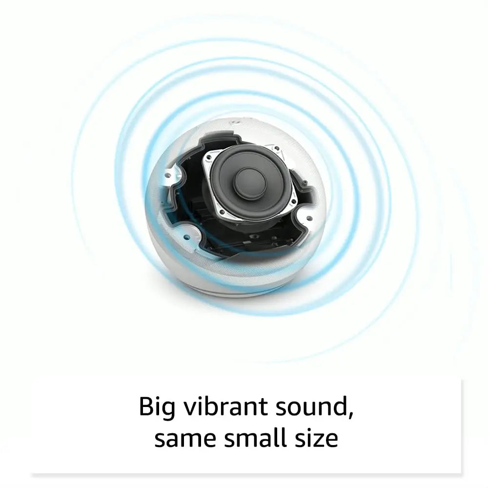 Portable  Smart Speaker