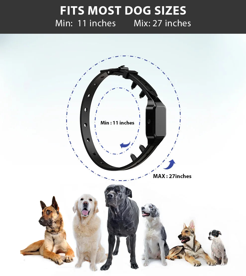 Dog Training Collar