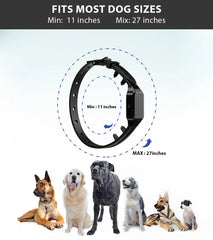 Dog Training Collar