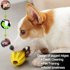Pet Dog Chew Toys